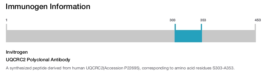 UQCRC2 Polyclonal Antibody