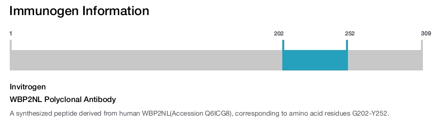 WBP2NL Polyclonal Antibody