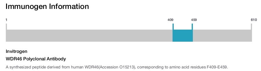 WDR46 Polyclonal Antibody