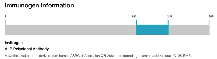 ALP Polyclonal Antibody