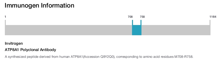 ATP8A1 Polyclonal Antibody