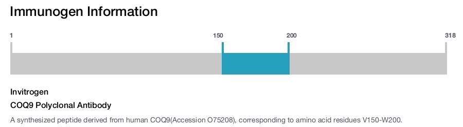 COQ9 Polyclonal Antibody