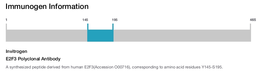 E2F3 Polyclonal Antibody