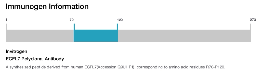 EGFL7 Polyclonal Antibody