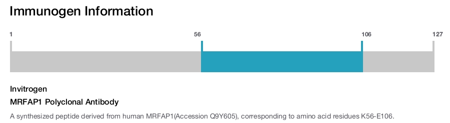 MRFAP1 Polyclonal Antibody