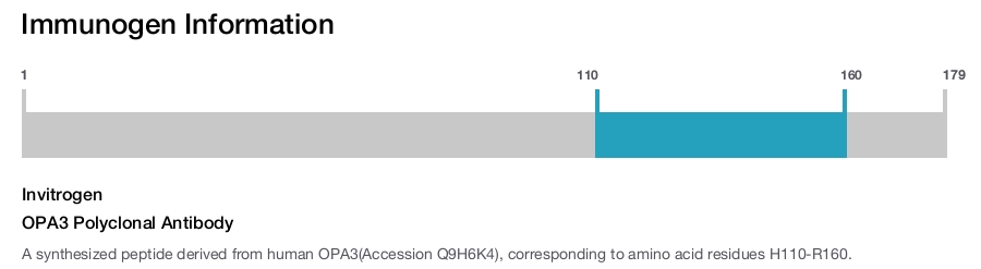 OPA3 Polyclonal Antibody