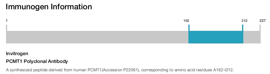 PCMT1 Polyclonal Antibody