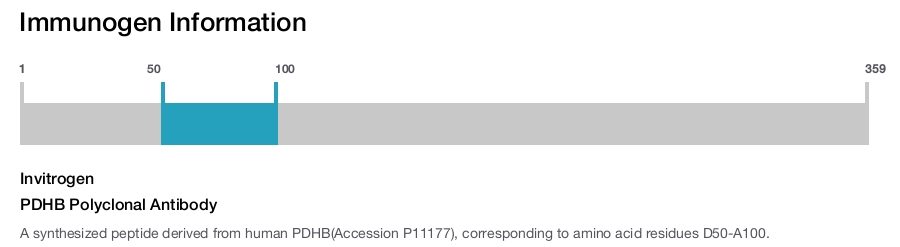 PDHB Polyclonal Antibody
