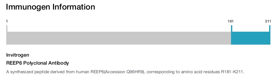REEP6 Polyclonal Antibody