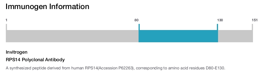 RPS14 Polyclonal Antibody
