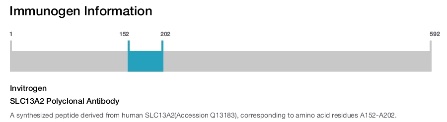SLC13A2 Polyclonal Antibody