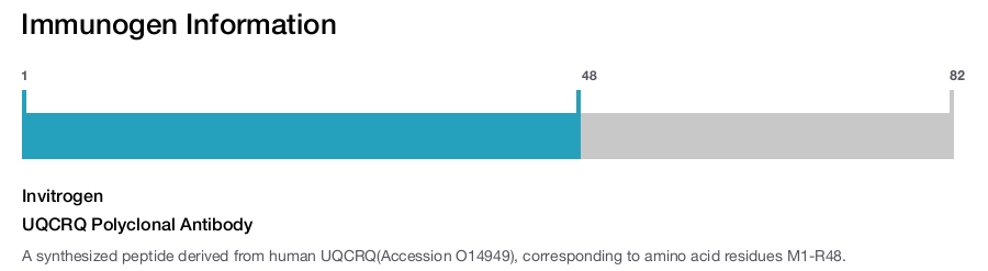 UQCRQ Polyclonal Antibody