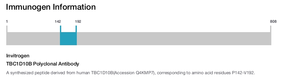 TBC1D10B Polyclonal Antibody