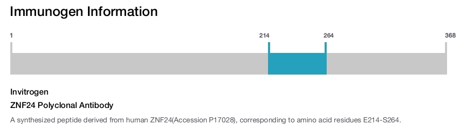 ZNF24 Polyclonal Antibody