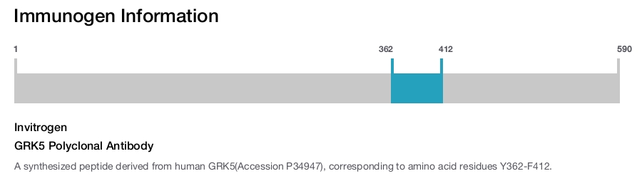 GRK5 Polyclonal Antibody