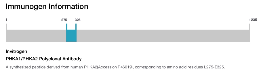 PHKA1/PHKA2 Polyclonal Antibody