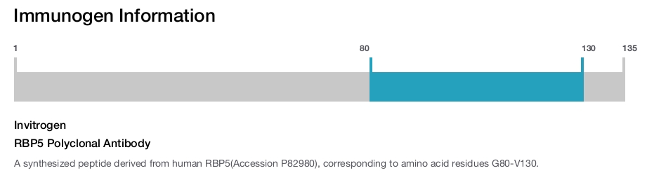 RBP5 Polyclonal Antibody