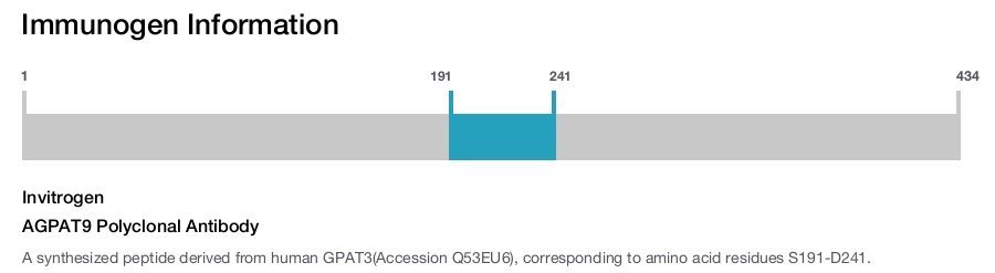 AGPAT9 Polyclonal Antibody