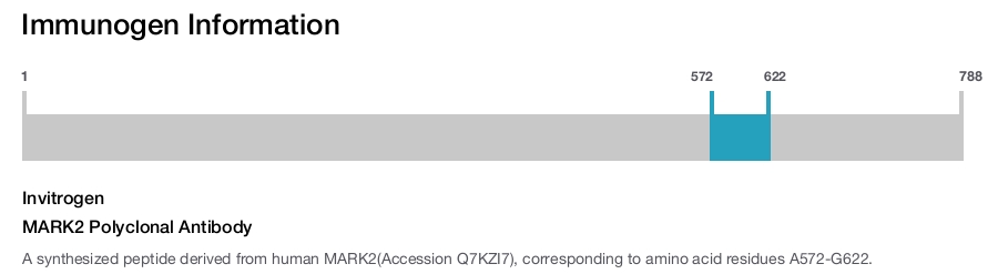 MARK2 Polyclonal Antibody