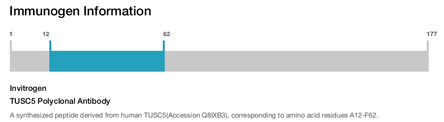 TUSC5 Polyclonal Antibody
