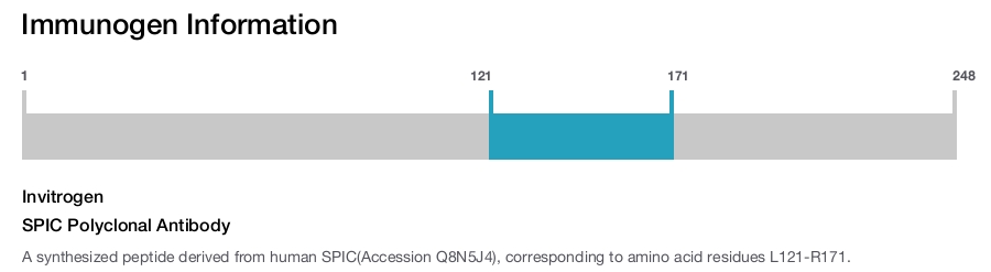 SPIC Polyclonal Antibody