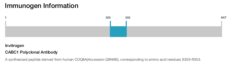 CABC1 Polyclonal Antibody