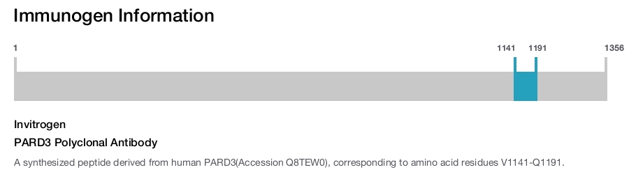 PARD3 Polyclonal Antibody
