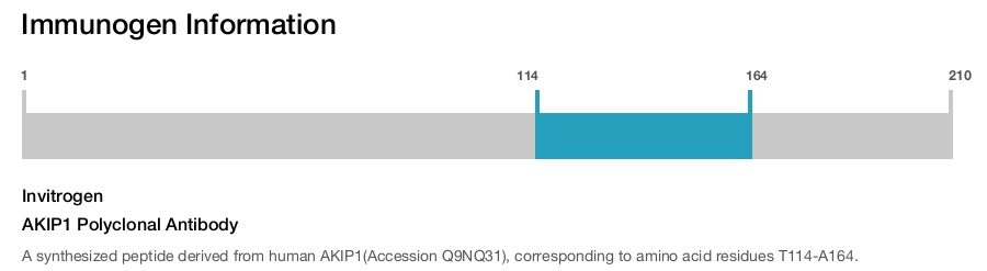 AKIP1 Polyclonal Antibody