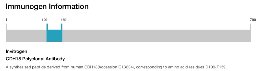 CDH18 Polyclonal Antibody