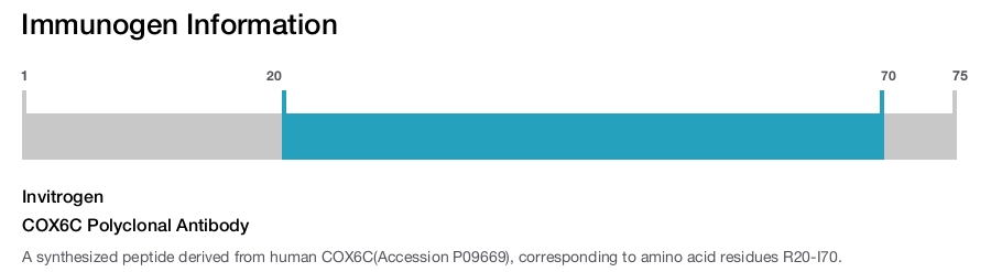 COX6C Polyclonal Antibody