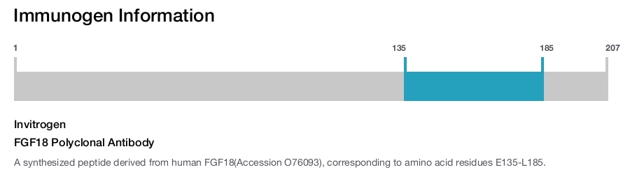 FGF18 Polyclonal Antibody