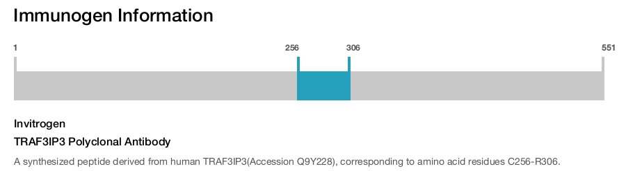 TRAF3IP3 Polyclonal Antibody