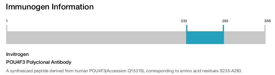 POU4F3 Polyclonal Antibody