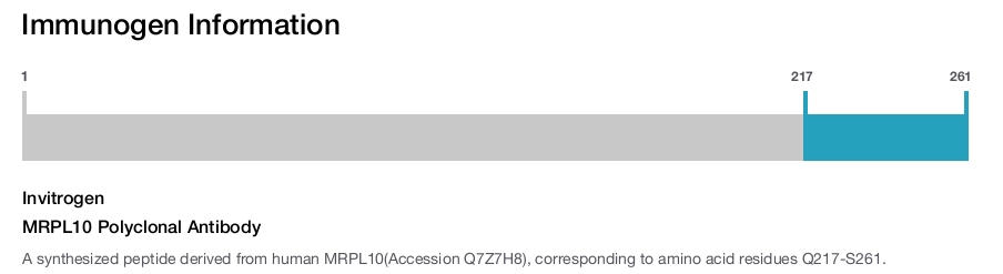 MRPL10 Polyclonal Antibody