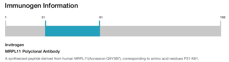 MRPL11 Polyclonal Antibody