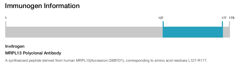MRPL13 Polyclonal Antibody