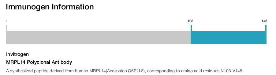 MRPL14 Polyclonal Antibody