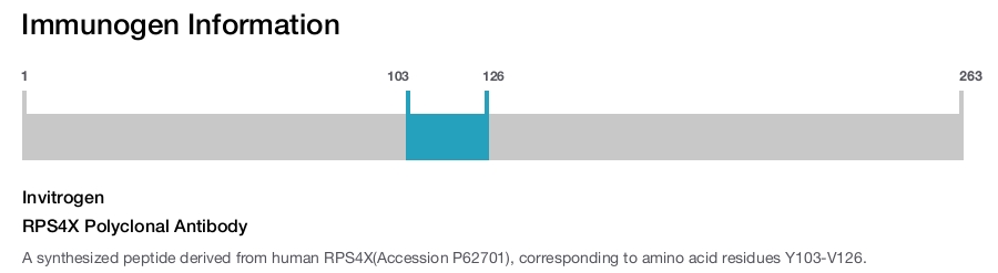 RPS4X Polyclonal Antibody