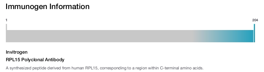 RPL15 Polyclonal Antibody