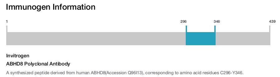 ABHD8 Polyclonal Antibody