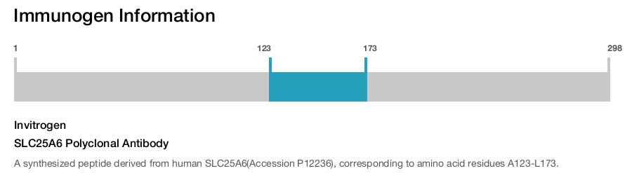 SLC25A6 Polyclonal Antibody