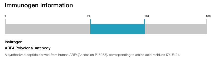 ARF4 Polyclonal Antibody