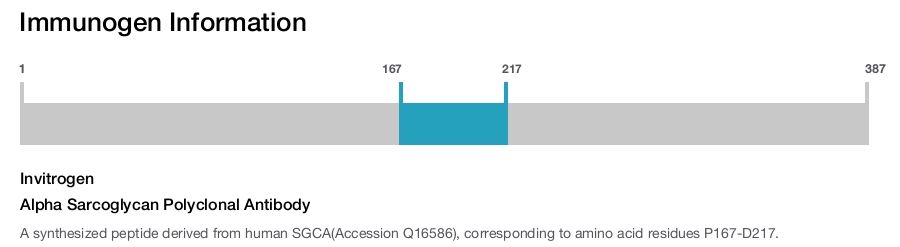 Alpha Sarcoglycan Polyclonal Antibody