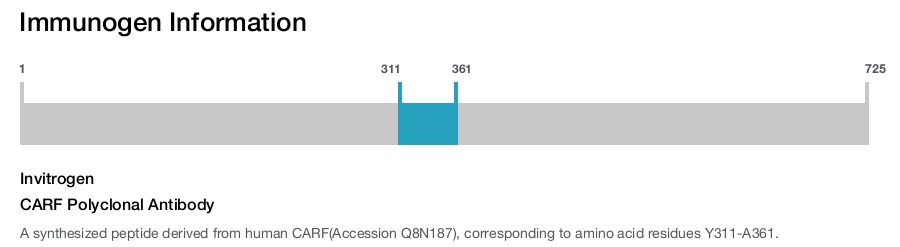CARF Polyclonal Antibody