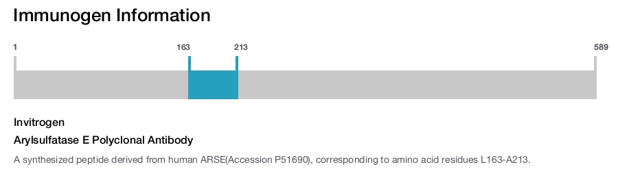 Arylsulfatase E Polyclonal Antibody