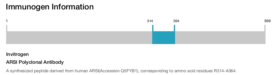 ARSI Polyclonal Antibody