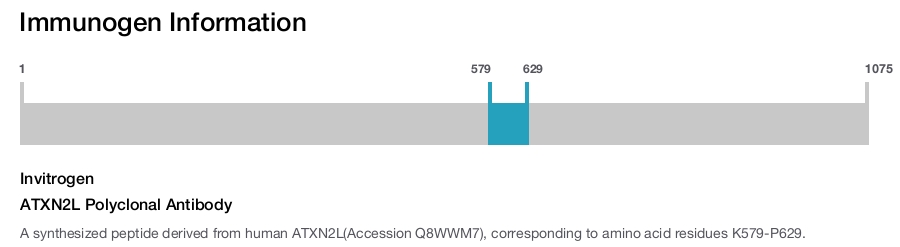 ATXN2L Polyclonal Antibody