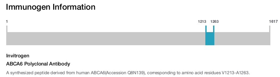 ABCA6 Polyclonal Antibody