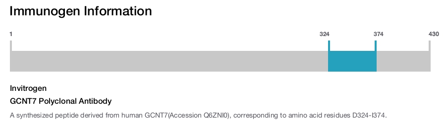 GCNT7 Polyclonal Antibody