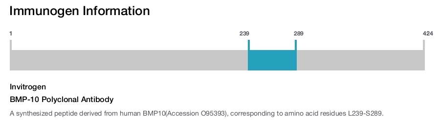 BMP-10 Polyclonal Antibody